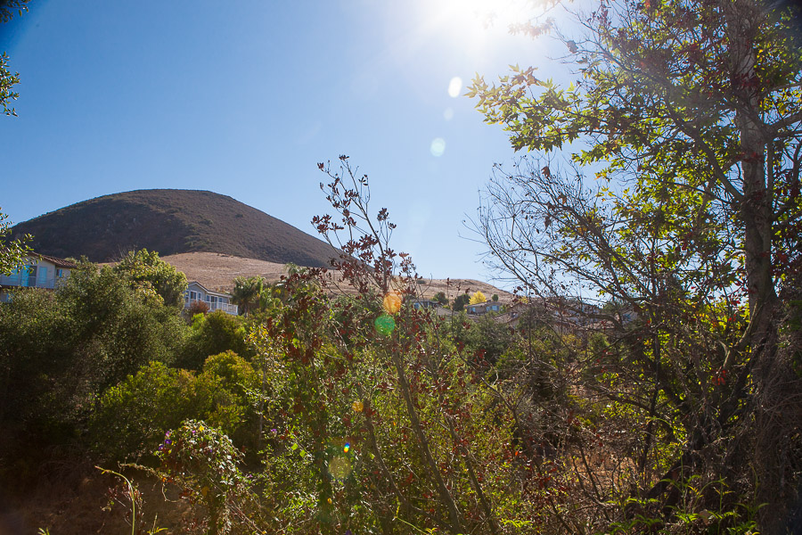 4570 Wavertree San Luis Obispo - Arbors