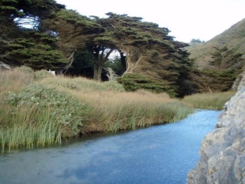 Big Sur State Park