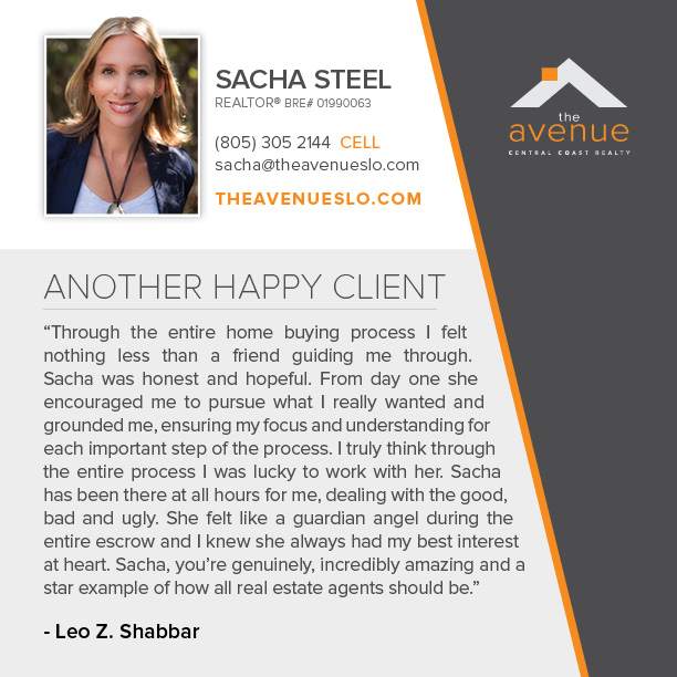 TESTIMONIAL for Sacha Steel