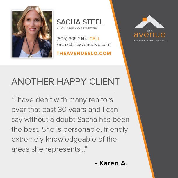 Testimonial for Sacha Steel