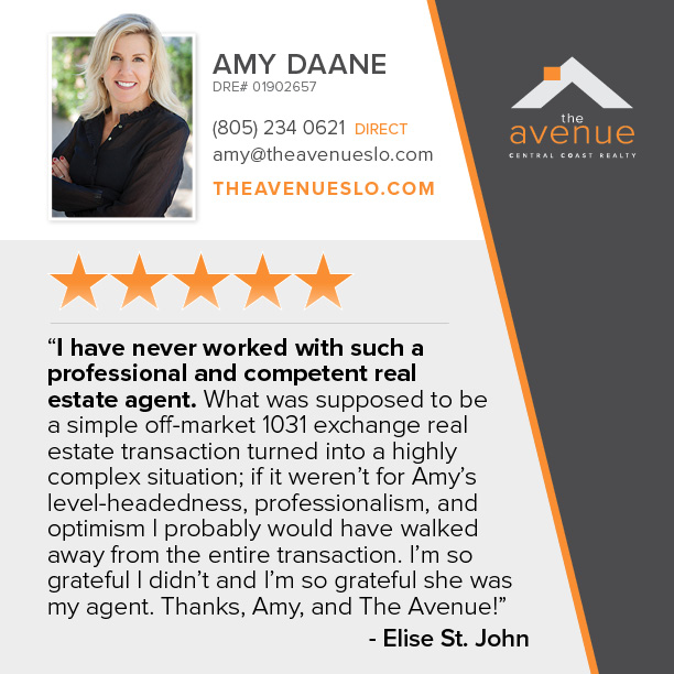 5 Star Testimonial for Amy Daane