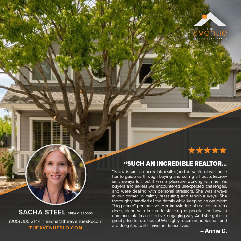 Sacha Steel Testimonial