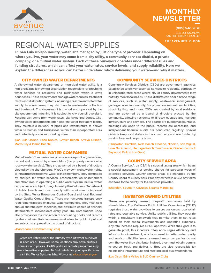 Avenue MAY 2025 Newsletter